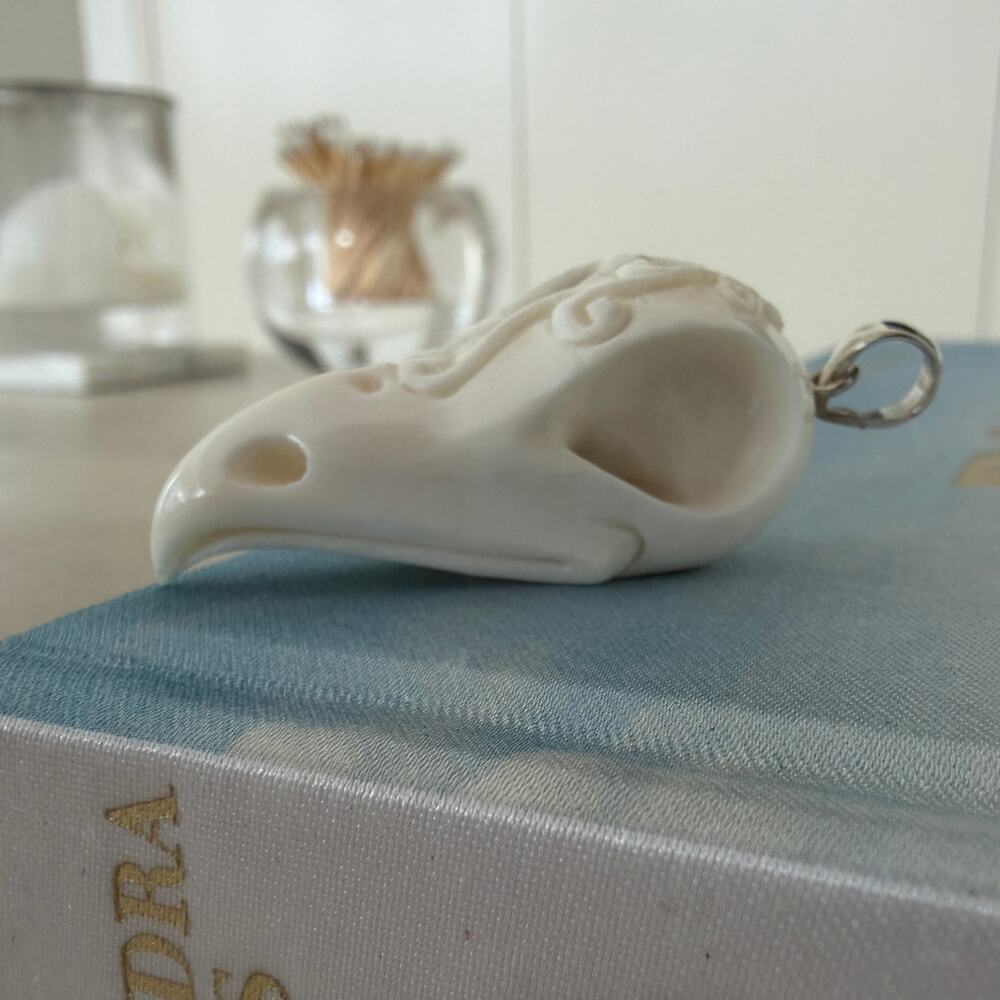 Hand Carved Raven Skull Pendant Sterling Silver - Picture 2 of 6